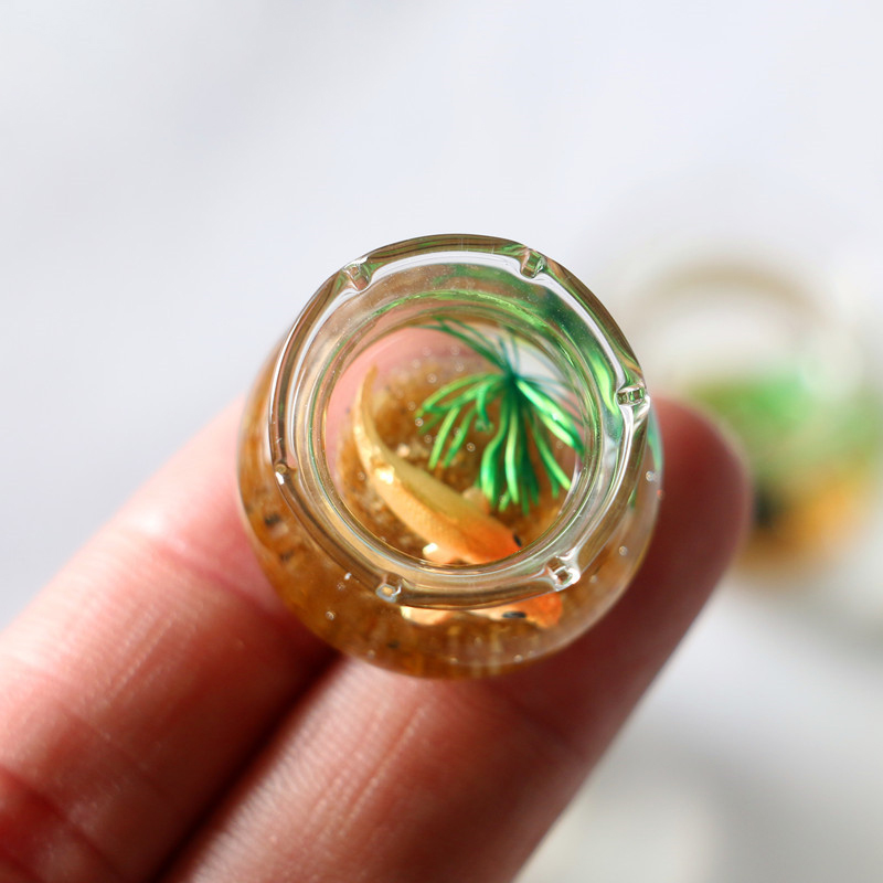 دمية صغيرة محاكاة الزجاج خزان  - مراجعة Planted Aquarium Models وسعره