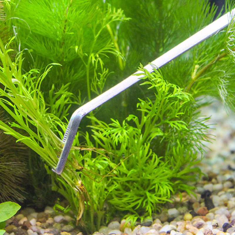 مجموعة أدوات تنظيف وصيانة أحوا - مراجعة Planted Aquarium Models وسعره