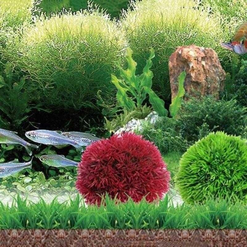 نباتات بلاستيكية مائية اصطناعي - مراجعة Aquarium Plant Rings وسعره
