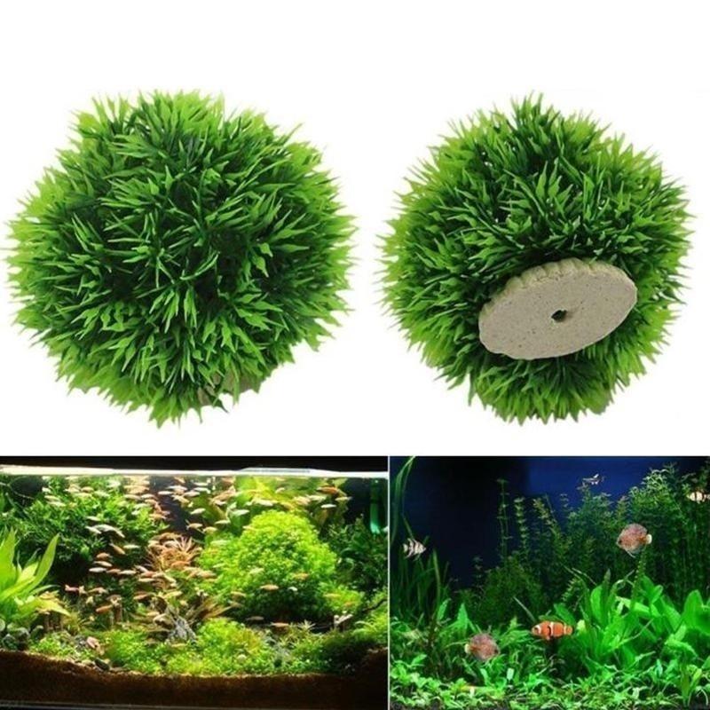 نباتات بلاستيكية مائية اصطناعي - مراجعة Aquarium Plant Rings وسعره
