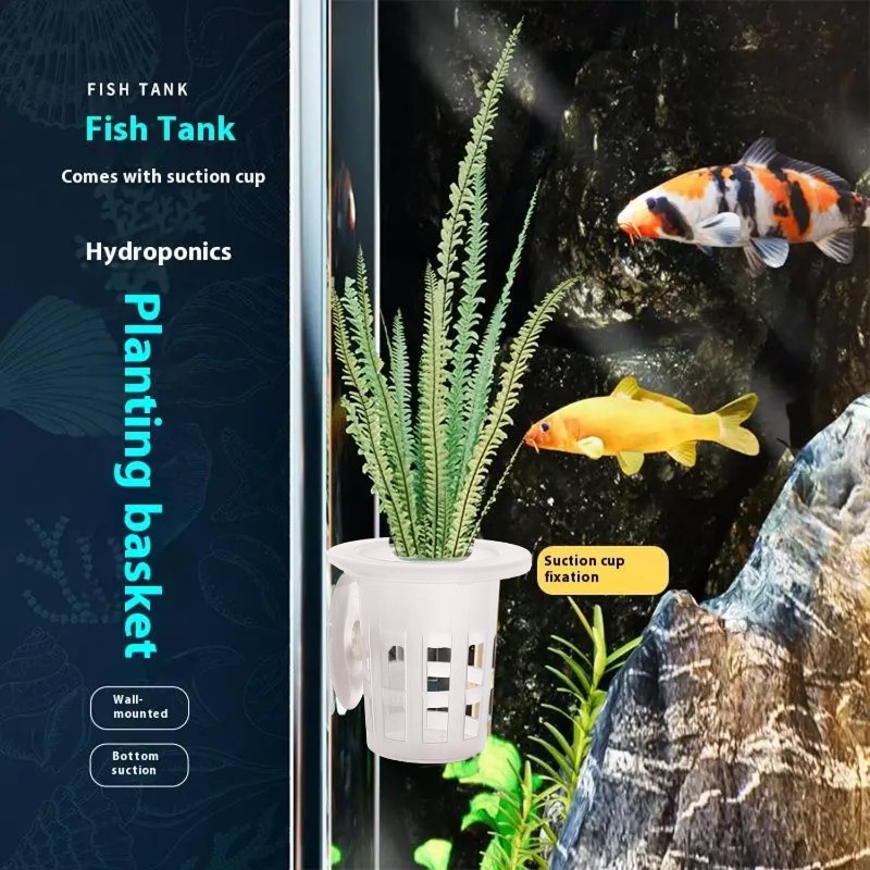 10/20/30 قطعة من أكواب زراعة ا - مراجعة Aquarium Plant Diseases وسعره
