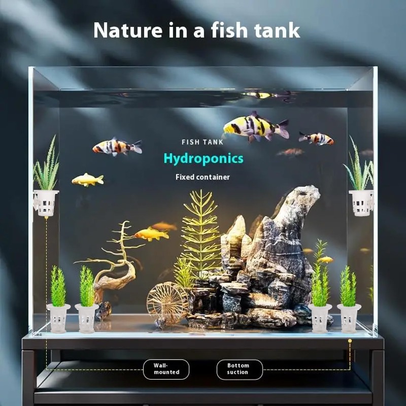 10/20/30 قطعة من أكواب زراعة ا - مراجعة Aquarium Plant Diseases وسعره