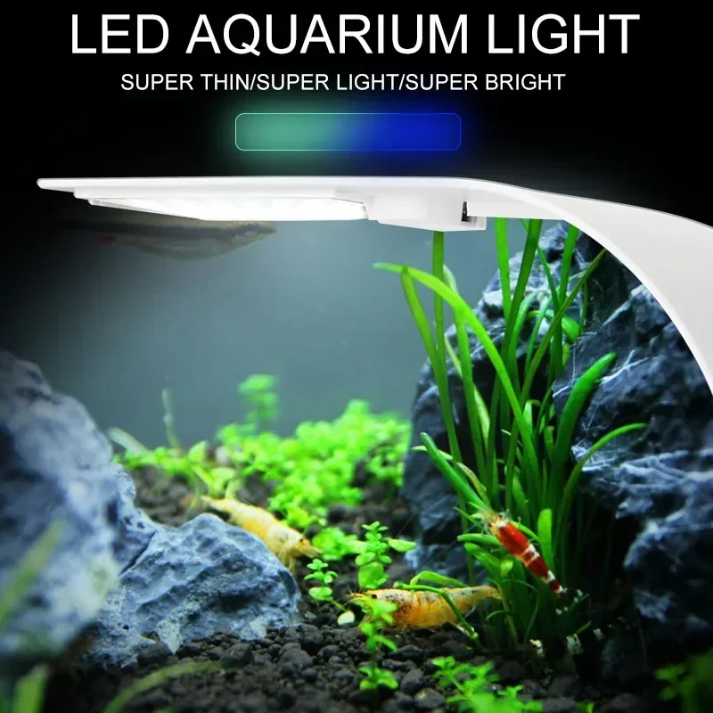 رقيقة جدا LED حوض السمك ضوء 5  - مراجعة Aquarium Plant Diseases وسعره