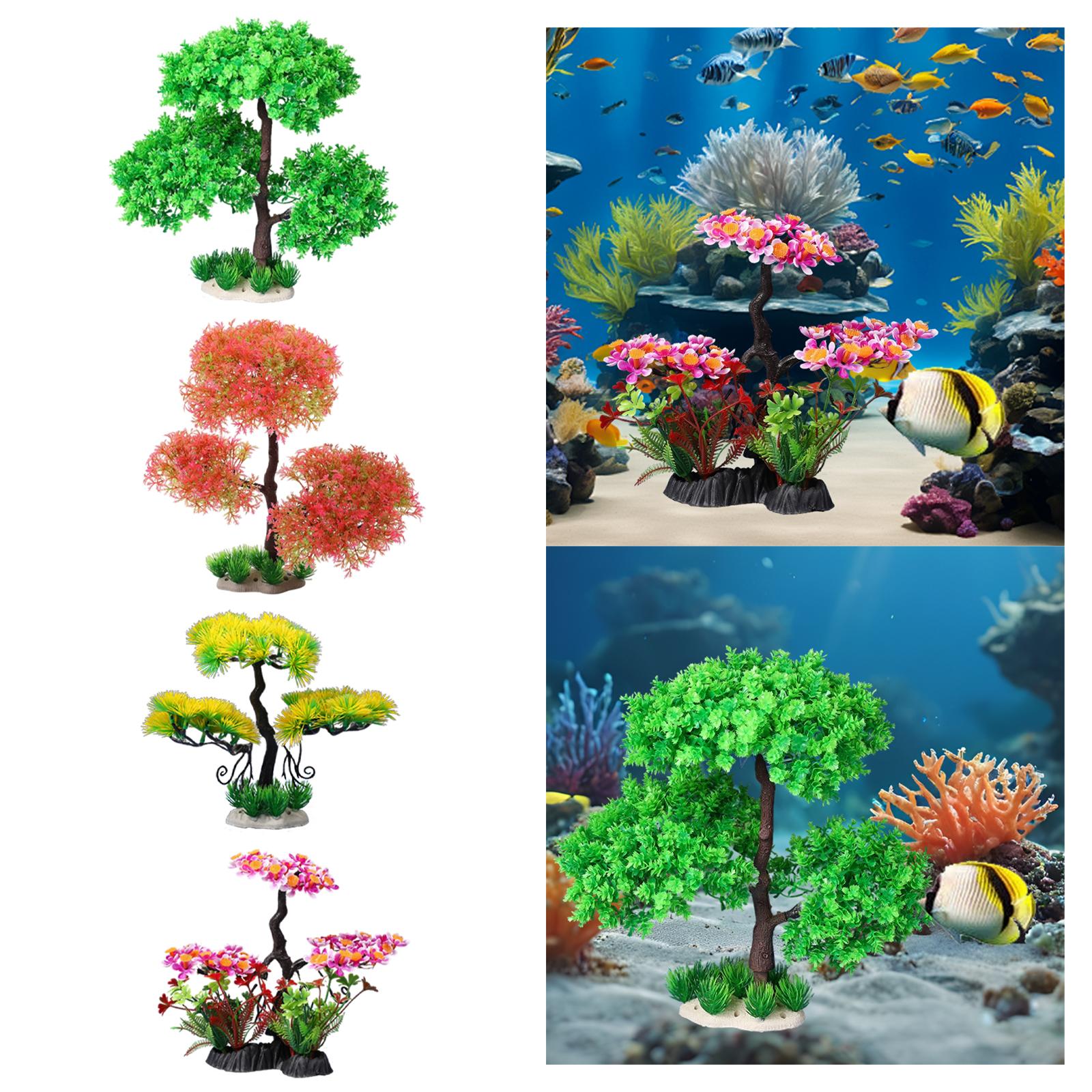 نباتات حوض السمك للمياه العذبة - مراجعة Planted Aquarium Models وسعره
