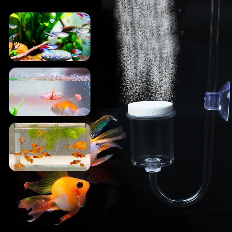 ناشر CO2 لحوض السمك ، خزان زجا - مراجعة Aquarium Plant Gel وسعره