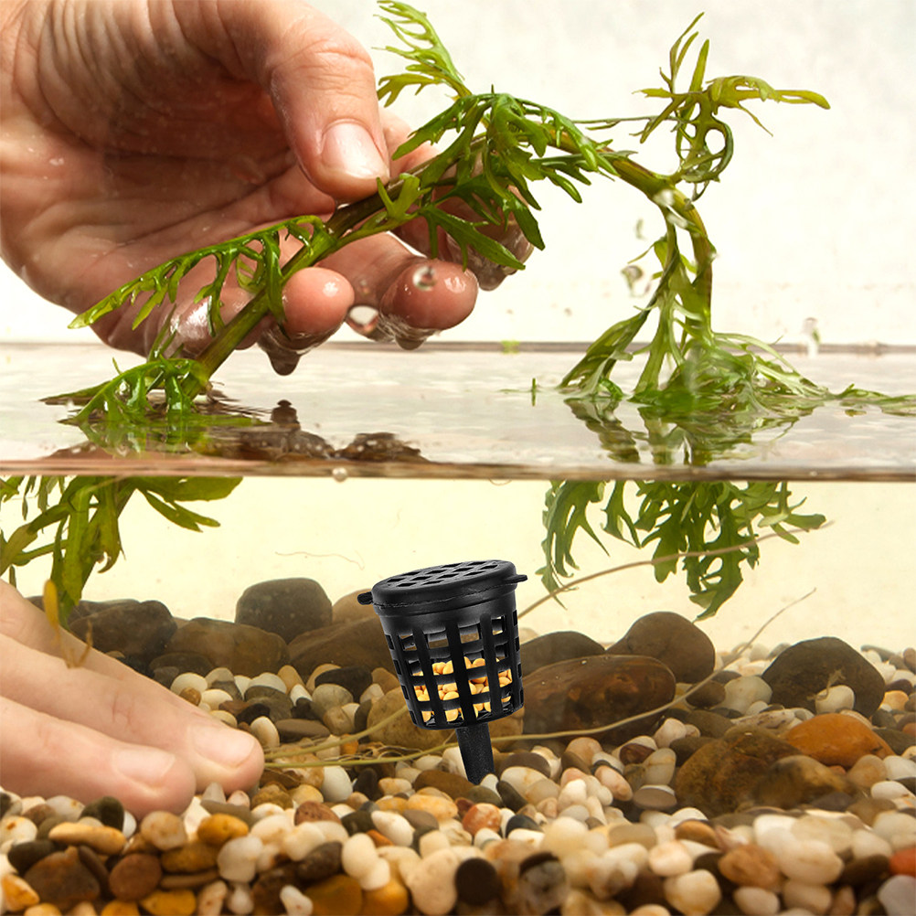 120 قطعة من سلال السماد بتصميم - مراجعة Aquarium Plant Fertilizer وسعره